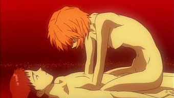 Eva'S Conc...